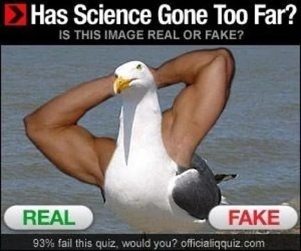 Has Science Gone Too Far?