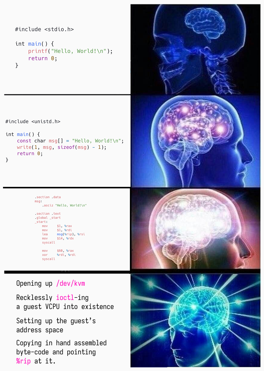 Big Brain