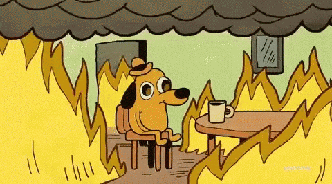 meme: this is fine